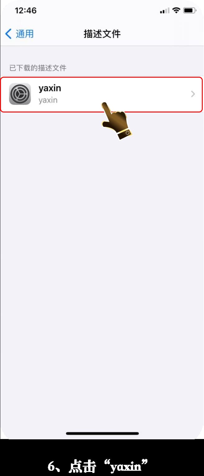 亚星ios应用安装教程步骤图6